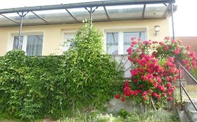 Ferienhaus 1